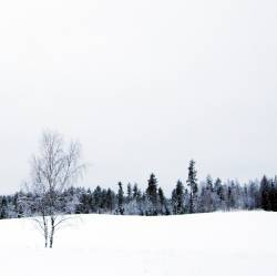 Trauma Field : First Day of Winter